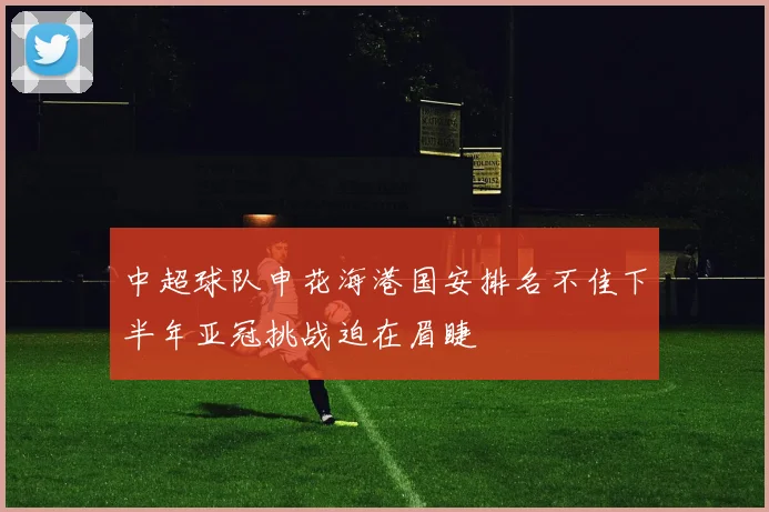 中超球队申花海港国安排名不佳下半年亚冠挑战迫在眉睫