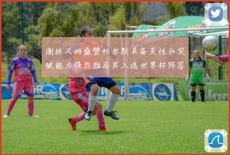 谢林汉姆盛赞帕尔默具备灵性和突破能力强烈推荐其入选世界杯阵容