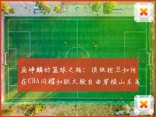 庞峥麟的篮球之路：顶级控卫如何在CBA闪耀如欧文般自由穿梭山东高速